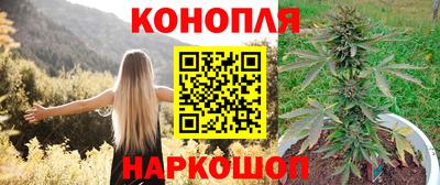 спиды Ливны
