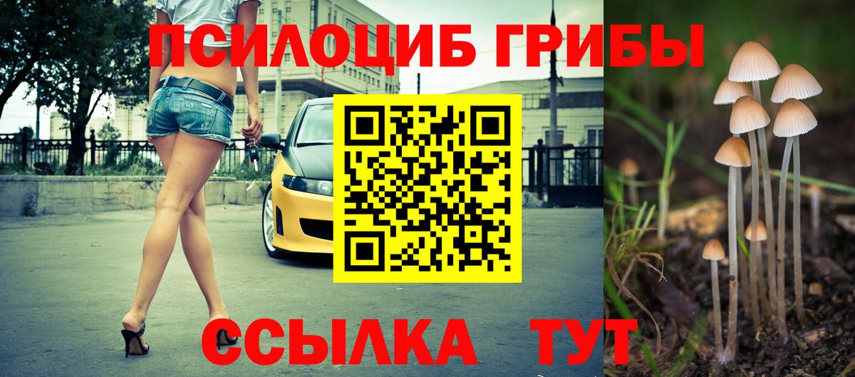 Псилоцибиновые грибы мухоморы  Вход с VPN  что такое   Черногорск 
