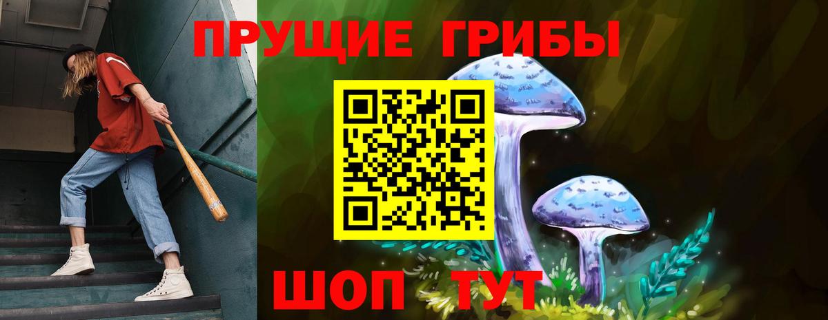 Галлюциногенные грибы мухоморы Черногорск