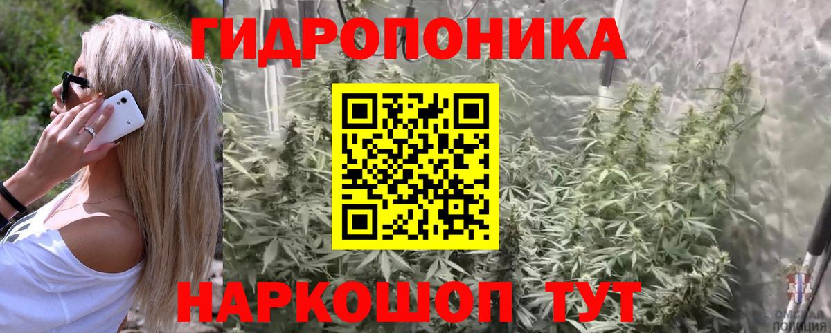 Черногорск  Марихуана планчик  Каннабис LSD WEED  Канабис тримм  Вход с VPN 