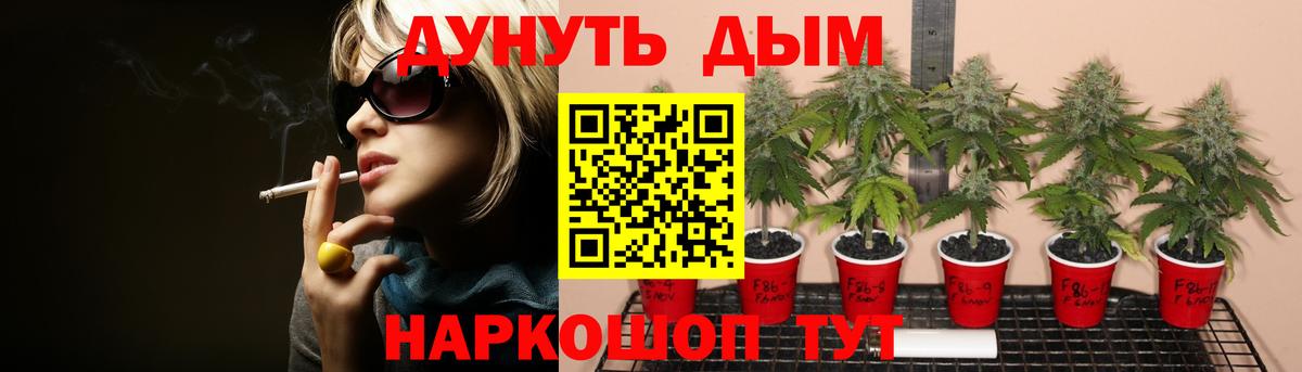 Конопля планчик Черногорск